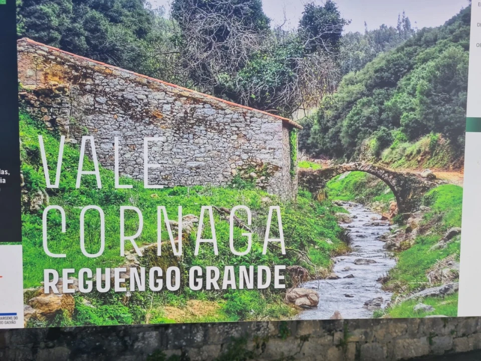 Loja para Venda em Reguengo Grande Foto 9