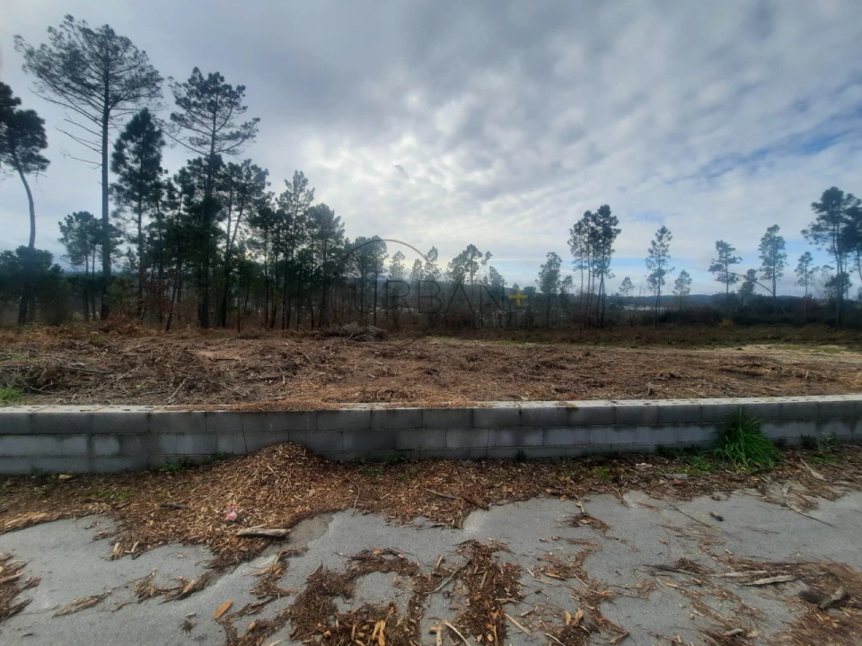 Terreno para Venda em Couto de Baixo e Couto de Cima Foto 1