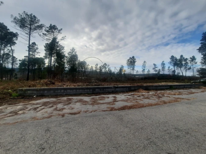 Terreno para Venda em Couto de Baixo e Couto de Cima Foto 4