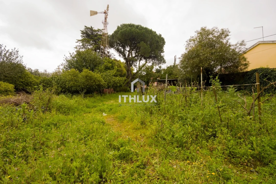 Moradia T4 para Venda em Agualva e Mira-Sintra Foto 6