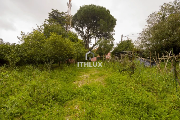 Moradia T4 para Venda em Agualva e Mira-Sintra Foto 9