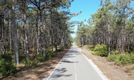 Apartamento T2 para Venda em Nazare