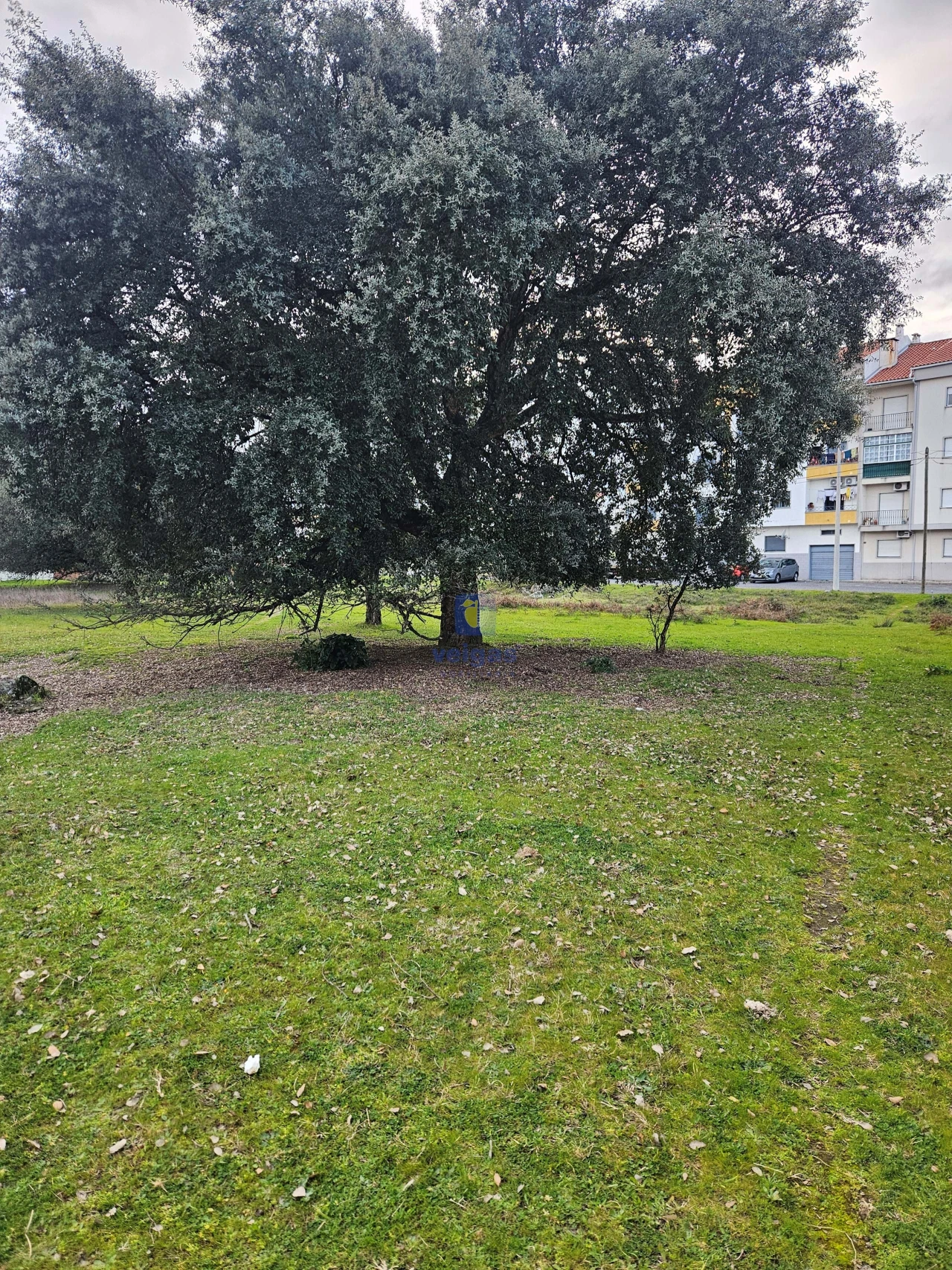 Terreno para Venda em Alcains Foto 3