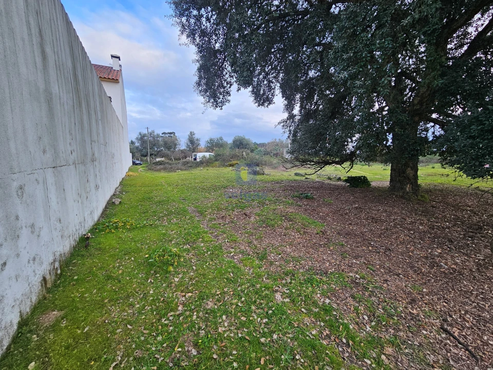Terreno para Venda em Alcains Foto 4