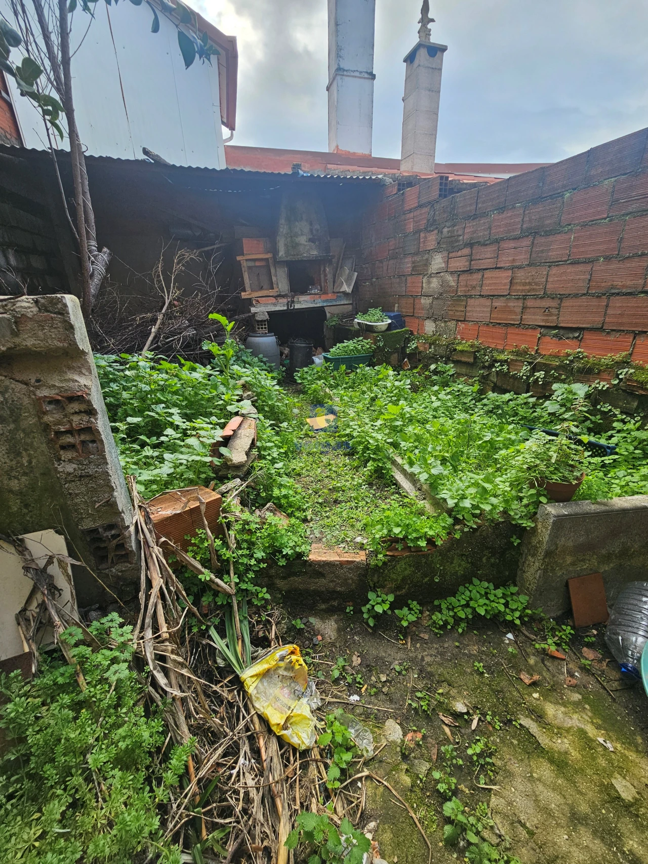 Moradia T2 para Venda em Castelo Branco Foto 16