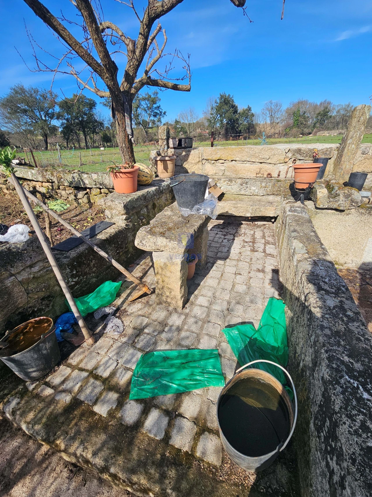Terreno Agricola ou Rústico para Venda em Castelo Branco Foto 13