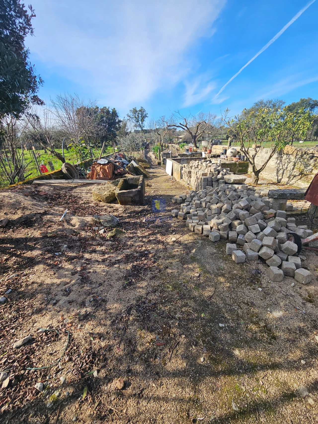 Terreno Agricola ou Rústico para Venda em Castelo Branco Foto 9