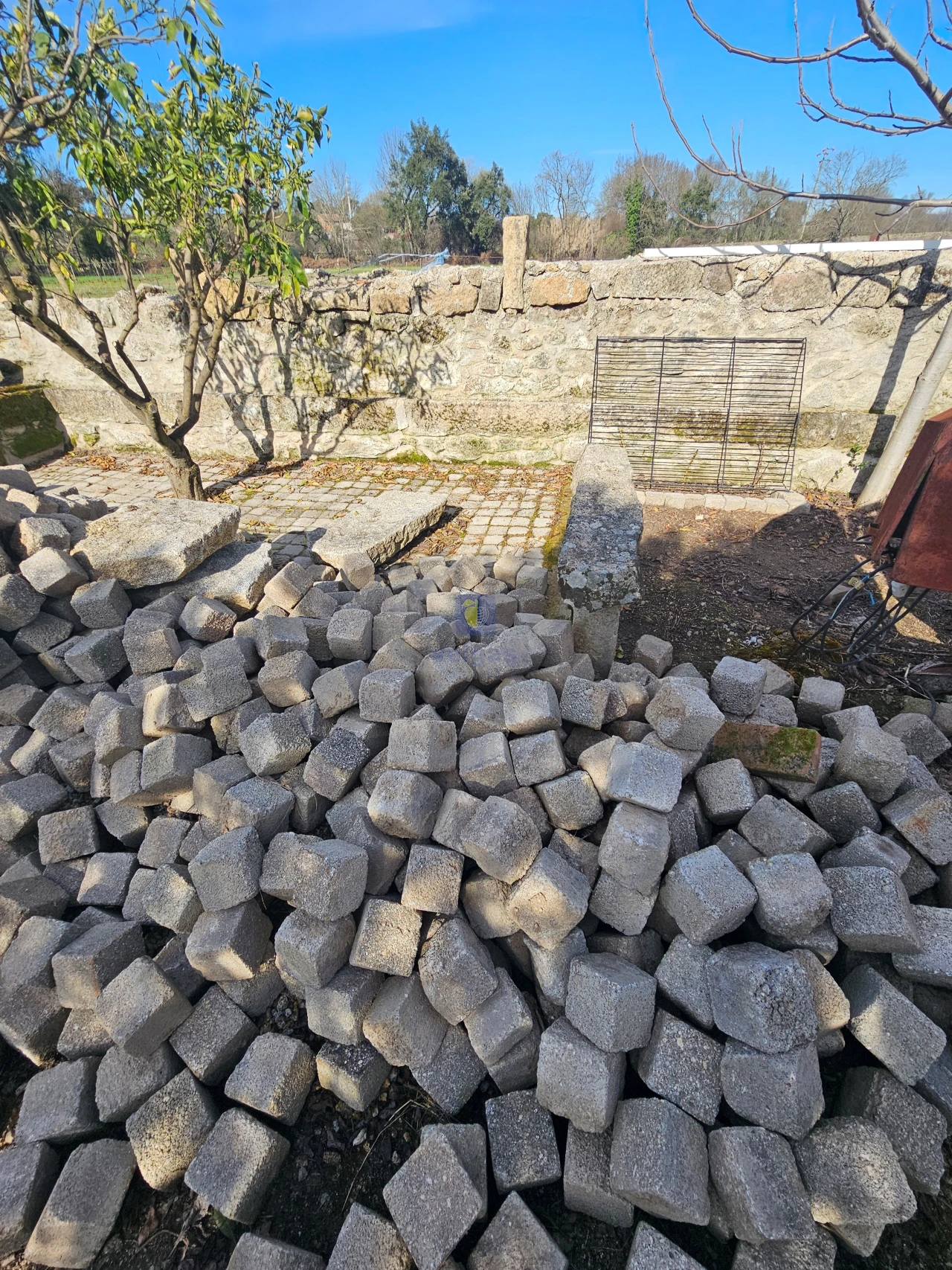 Terreno Agricola ou Rústico para Venda em Castelo Branco Foto 10