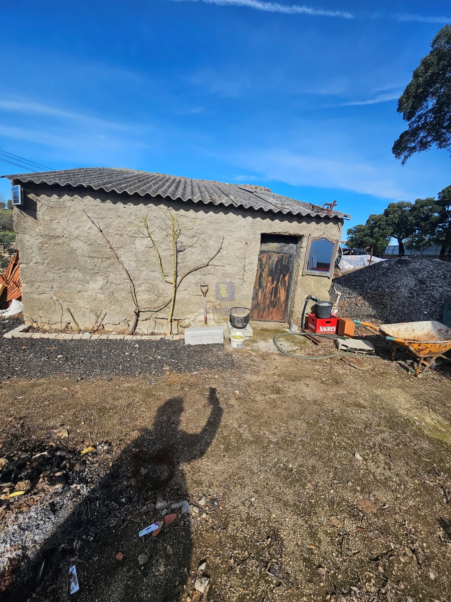 Terreno Agricola ou Rústico para Venda em Castelo Branco Foto 7