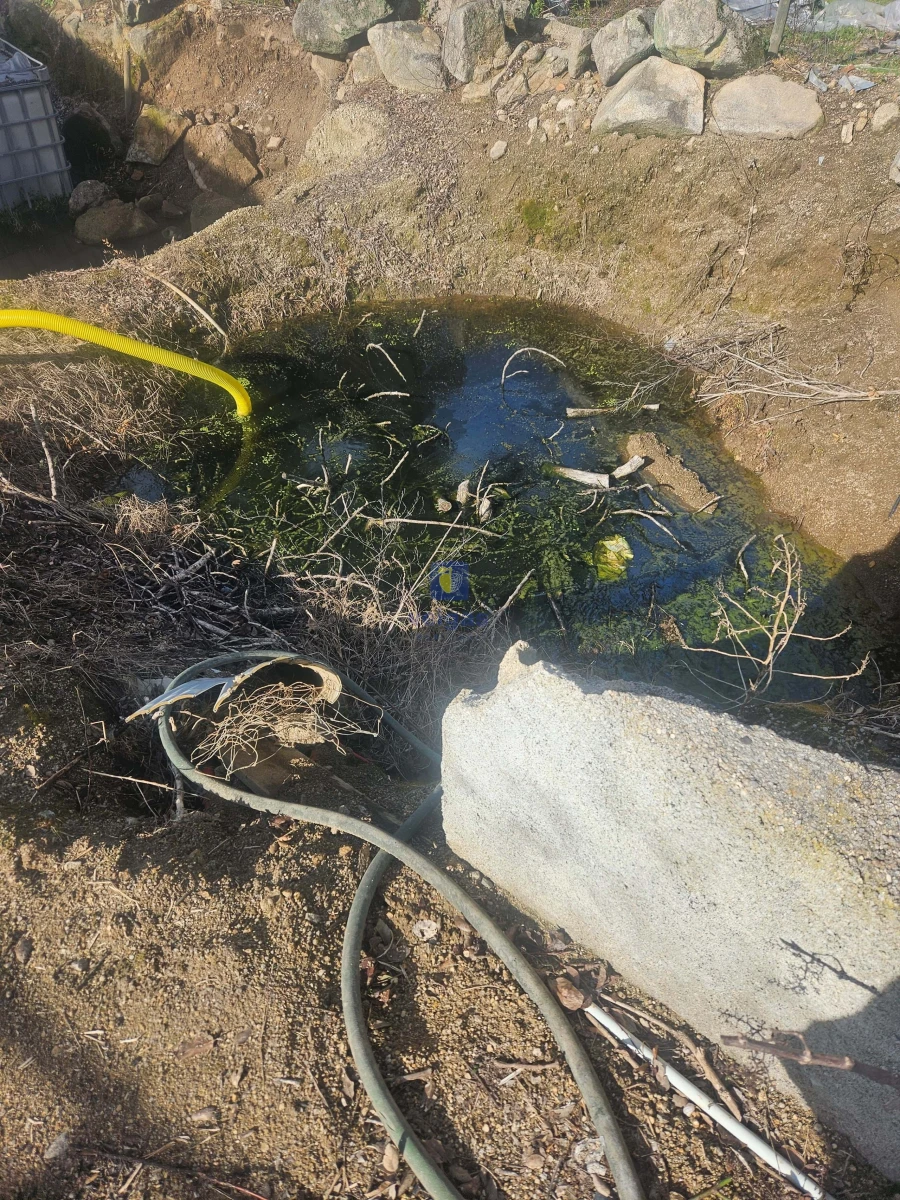 Terreno Agricola ou Rústico para Venda em Castelo Branco Foto 2