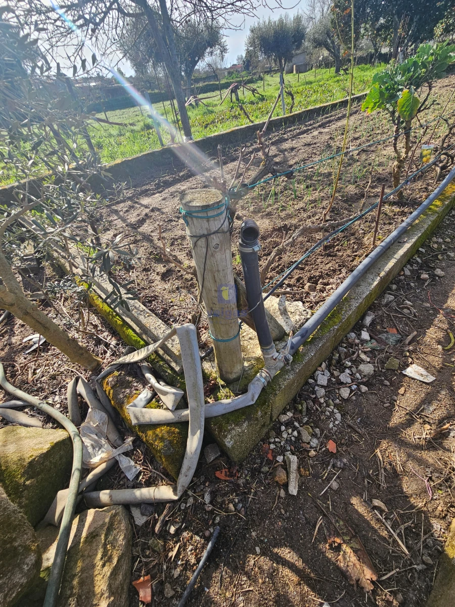 Terreno Agricola ou Rústico para Venda em Castelo Branco Foto 15