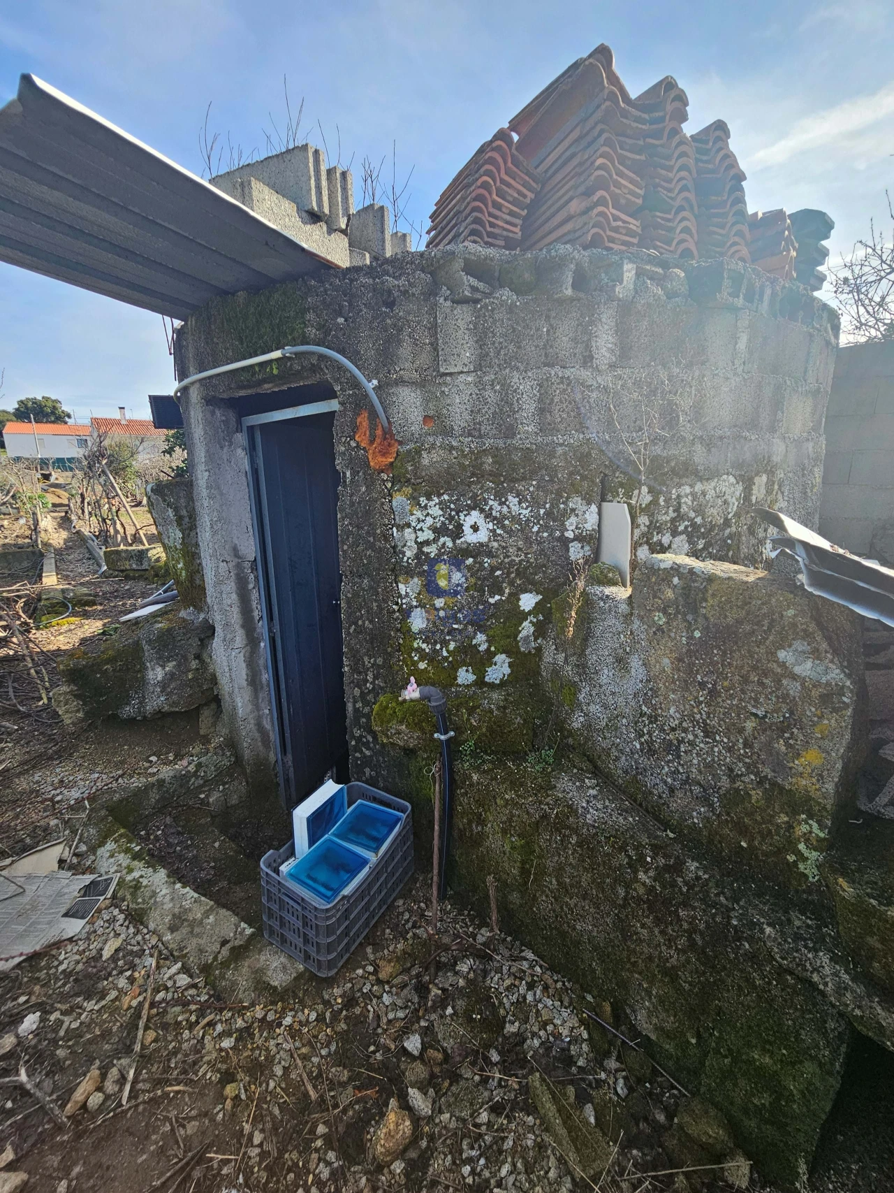 Terreno Agricola ou Rústico para Venda em Castelo Branco Foto 19