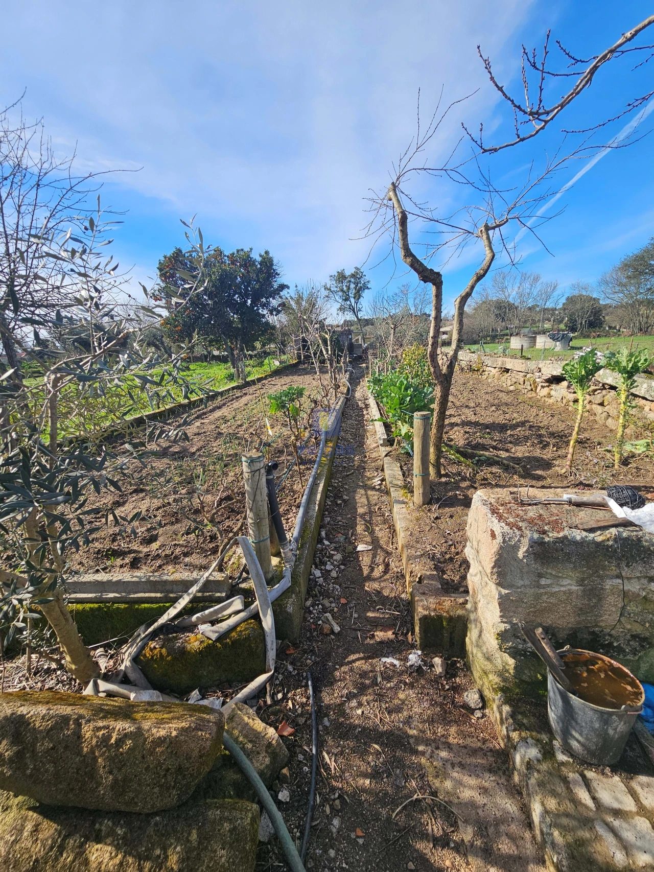 Terreno Agricola ou Rústico para Venda em Castelo Branco Foto 14