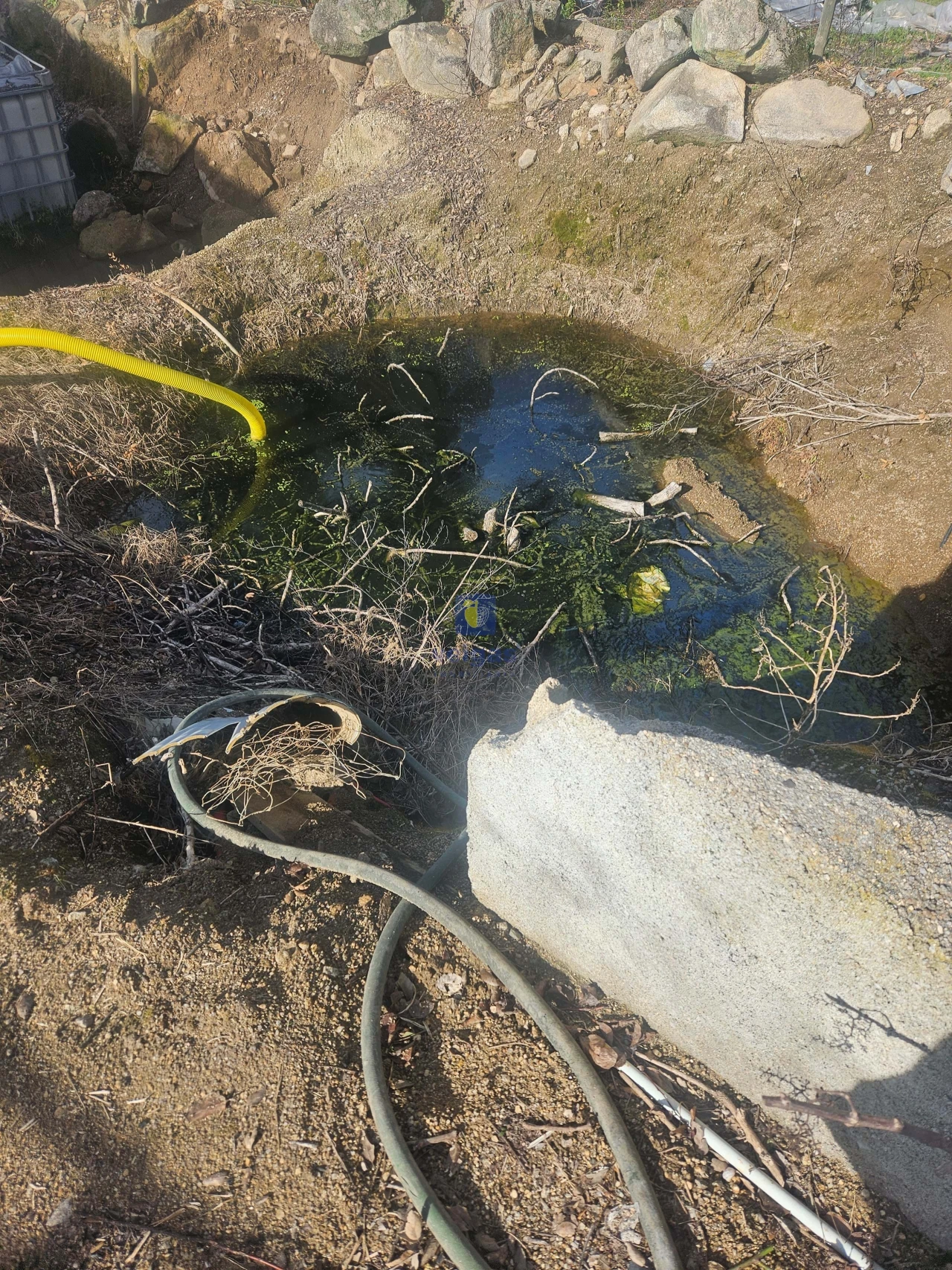 Terreno Agricola ou Rústico para Venda em Castelo Branco Foto 2
