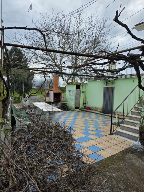 Quinta para Venda em Alcains