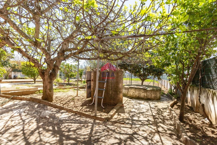 Moradia T0 para Venda em Pechão Foto 20