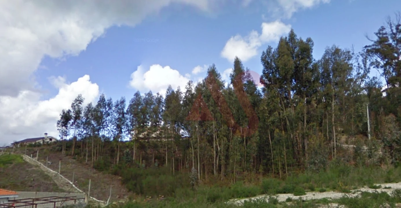 Terreno para Venda em Silvares, Pias, Nogueira e Alvarenga Foto 3