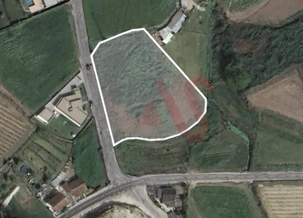 Terreno para Venda em Silvares, Pias, Nogueira e Alvarenga Foto 2