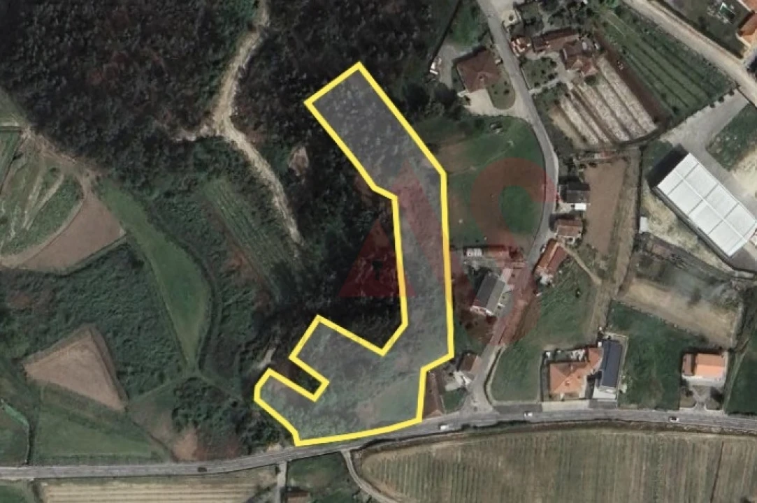 Terreno para Venda em Silvares, Pias, Nogueira e Alvarenga Foto 1