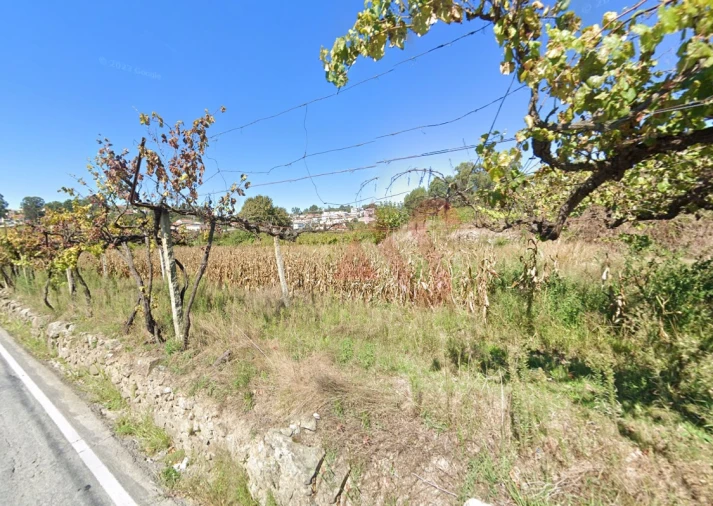 Terreno para Venda em Silvares, Pias, Nogueira e Alvarenga Foto 2