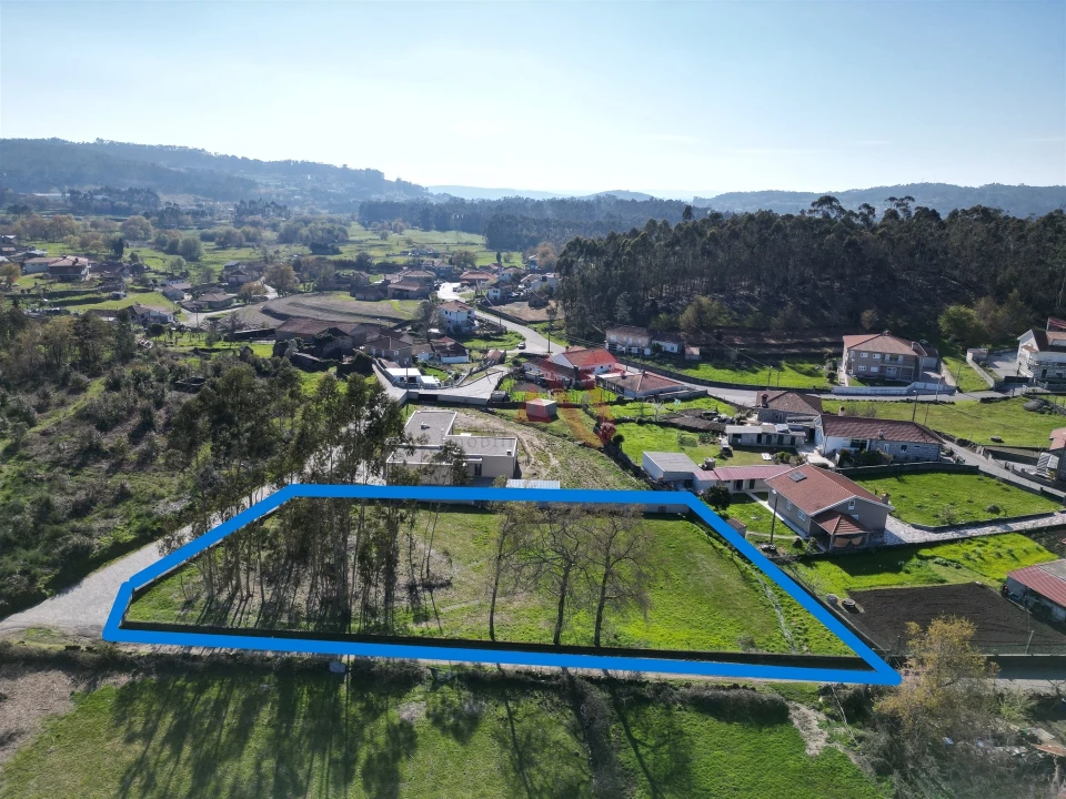 Terreno para Venda em Monte Córdova Foto 3