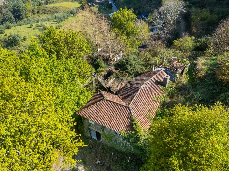 Quinta T0 para Venda em Parada do Bouro Foto 5