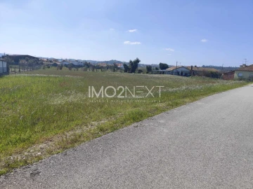 Terreno para Venda em Monte Redondo e Carreira