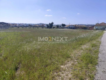 Terreno para Venda em Monte Redondo e Carreira