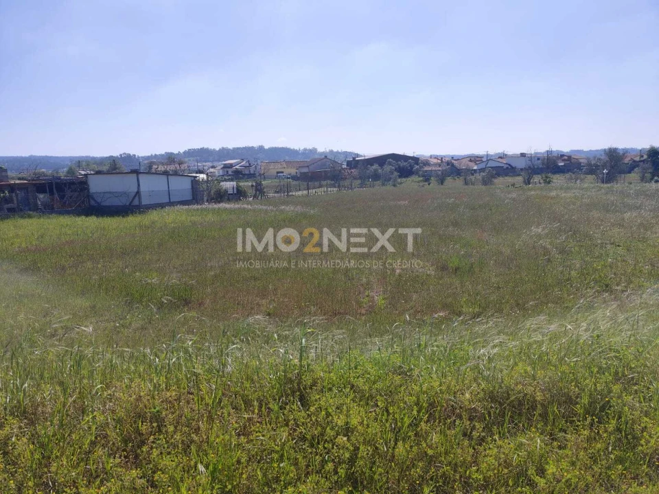 Terreno para Venda em Monte Redondo e Carreira Foto 19
