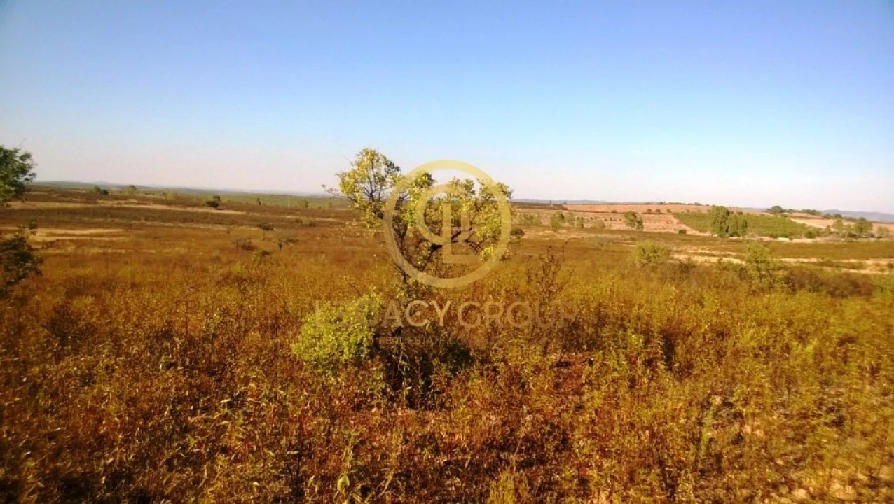 Terreno para Venda em Giões Foto 11