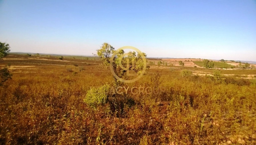 Terreno para Venda em Giões Foto 11