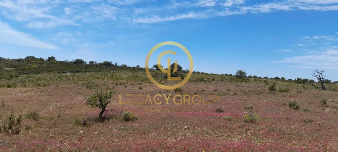 Terreno para Venda em Giões Foto 4