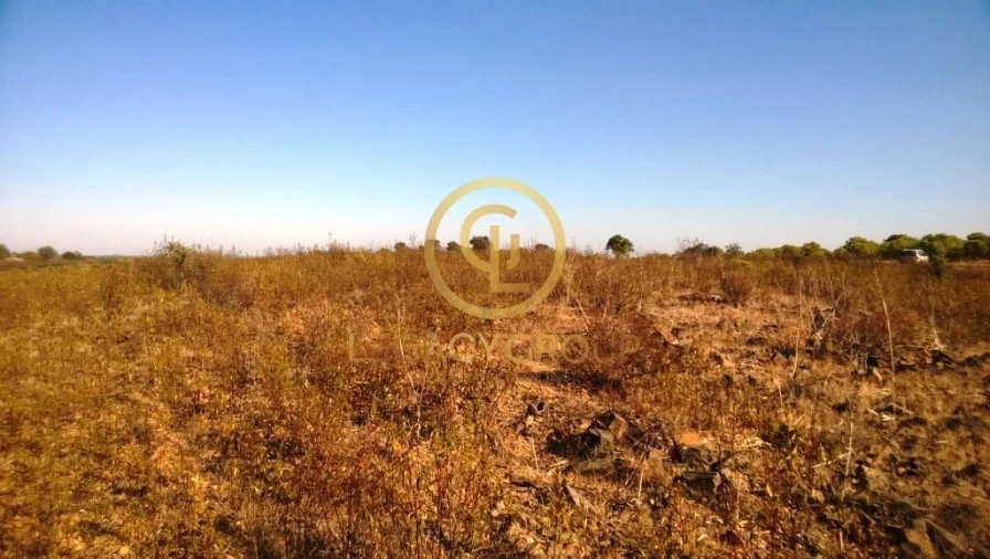 Terreno para Venda em Giões Foto 7