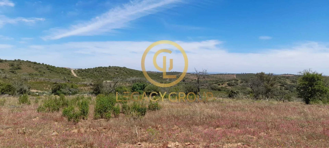 Terreno para Venda em Giões Foto 2