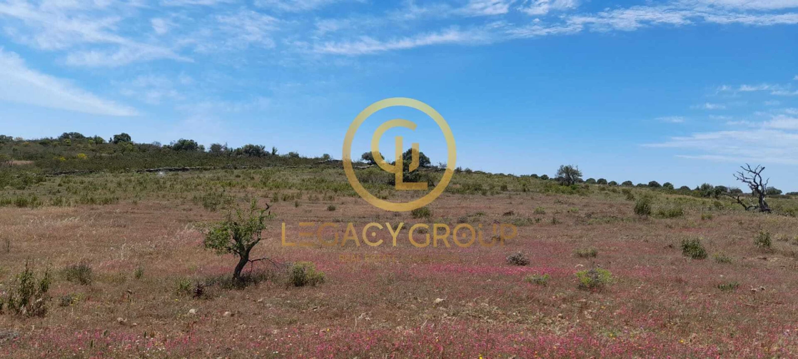 Terreno para Venda em Giões Foto 4