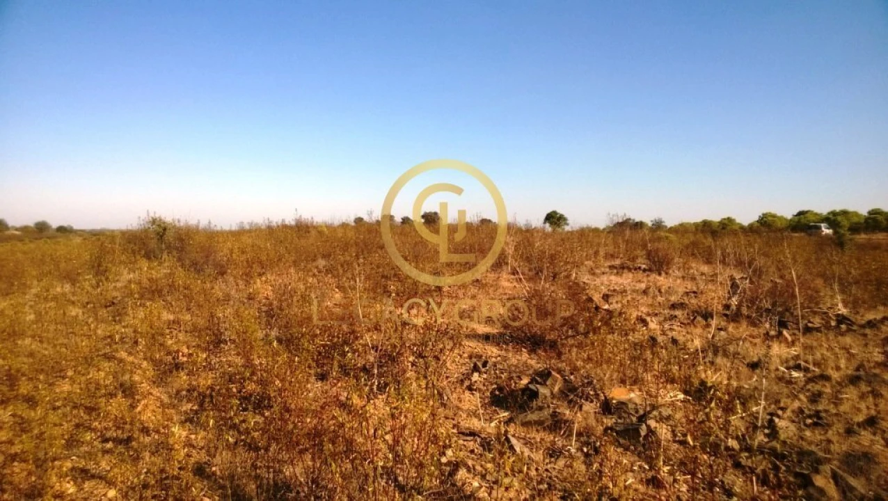 Terreno para Venda em Giões Foto 7