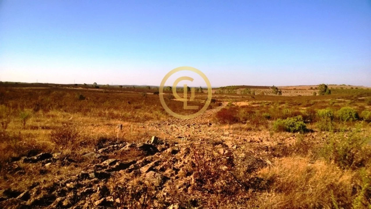 Terreno para Venda em Giões Foto 10