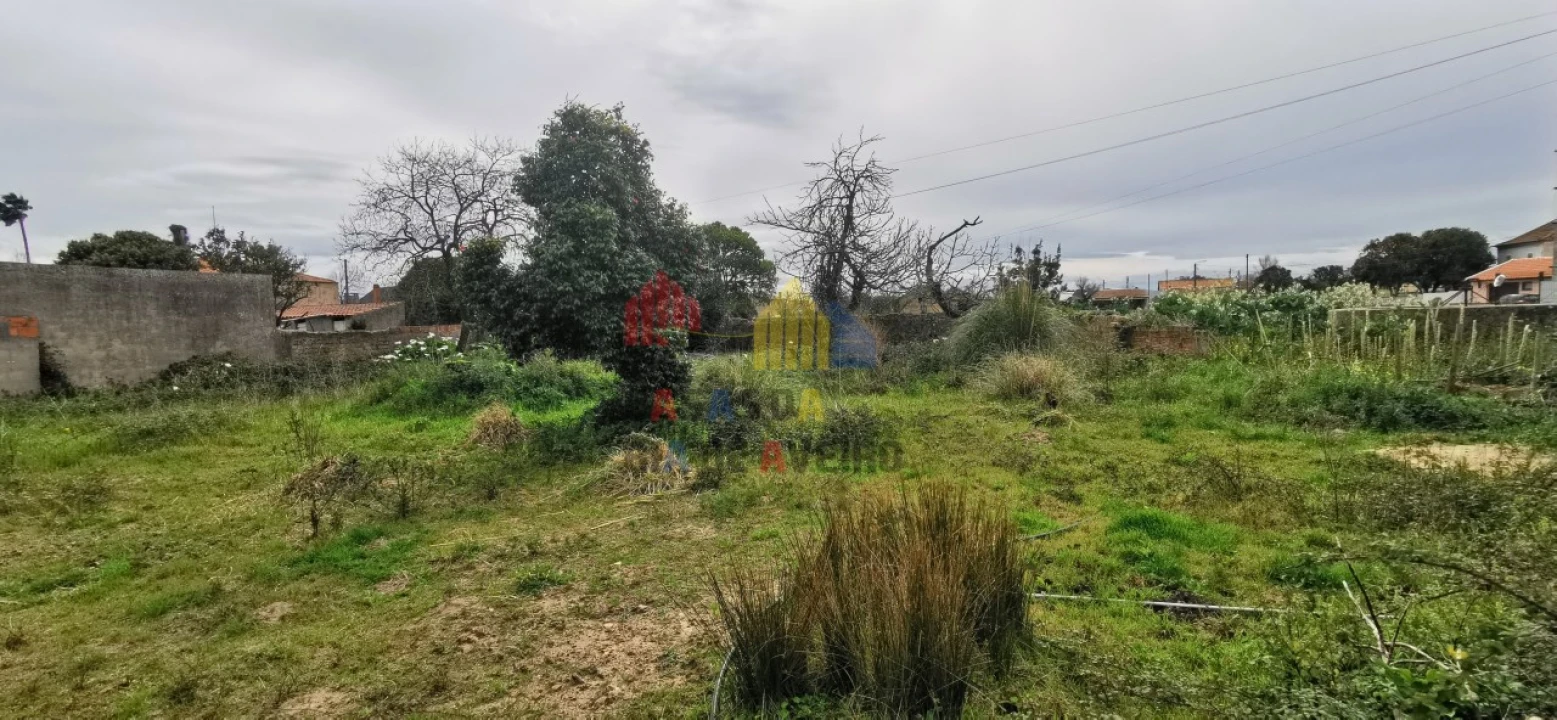 Terreno para Venda em Beduído e Veiros Foto 5