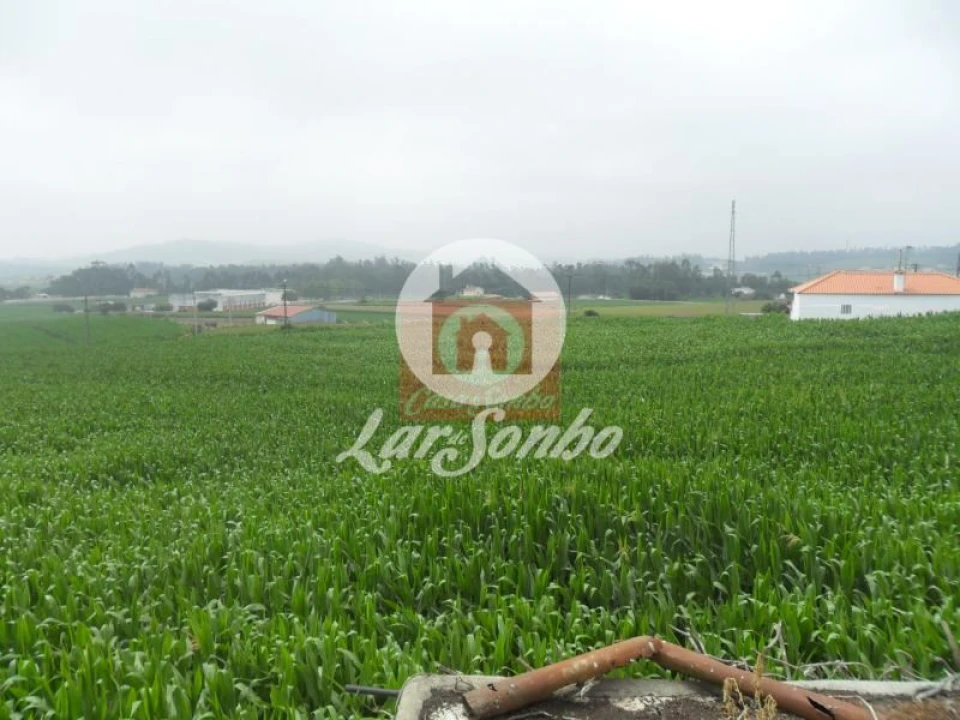 Moradia T5 para Venda em Rates Foto 4