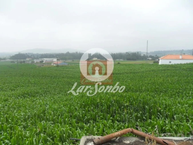 Moradia T5 para Venda em Rates Foto 4