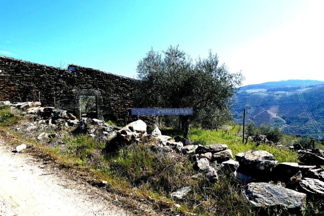 Terreno Agricola ou Rústico para Venda em Castanheiro do Norte e Ribalonga Foto 7