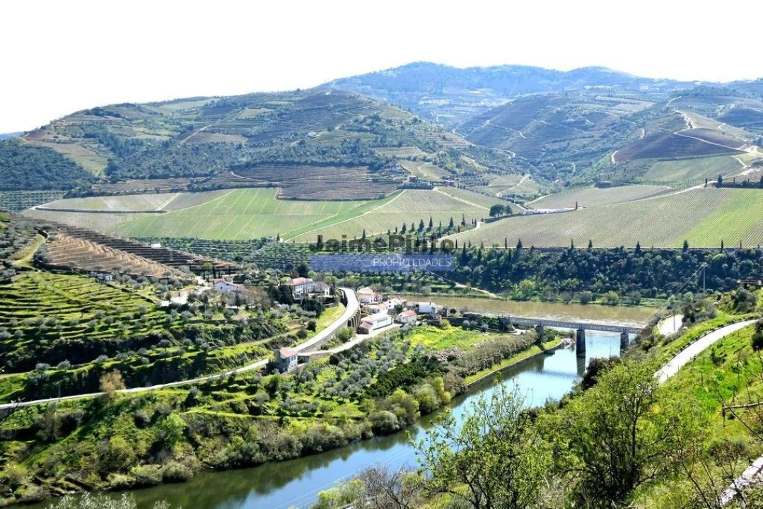 Terreno Agricola ou Rústico para Venda em Castanheiro do Norte e Ribalonga Foto 9