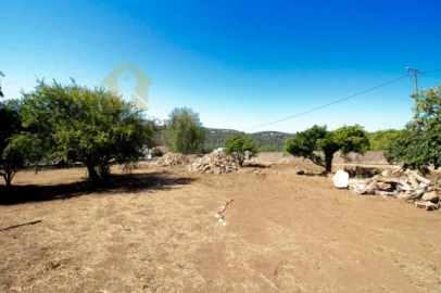Terreno para Venda em São Brás de Alportel