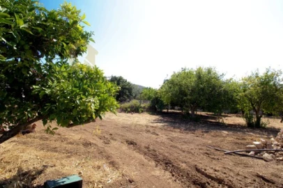 Terreno para Venda em São Brás de Alportel