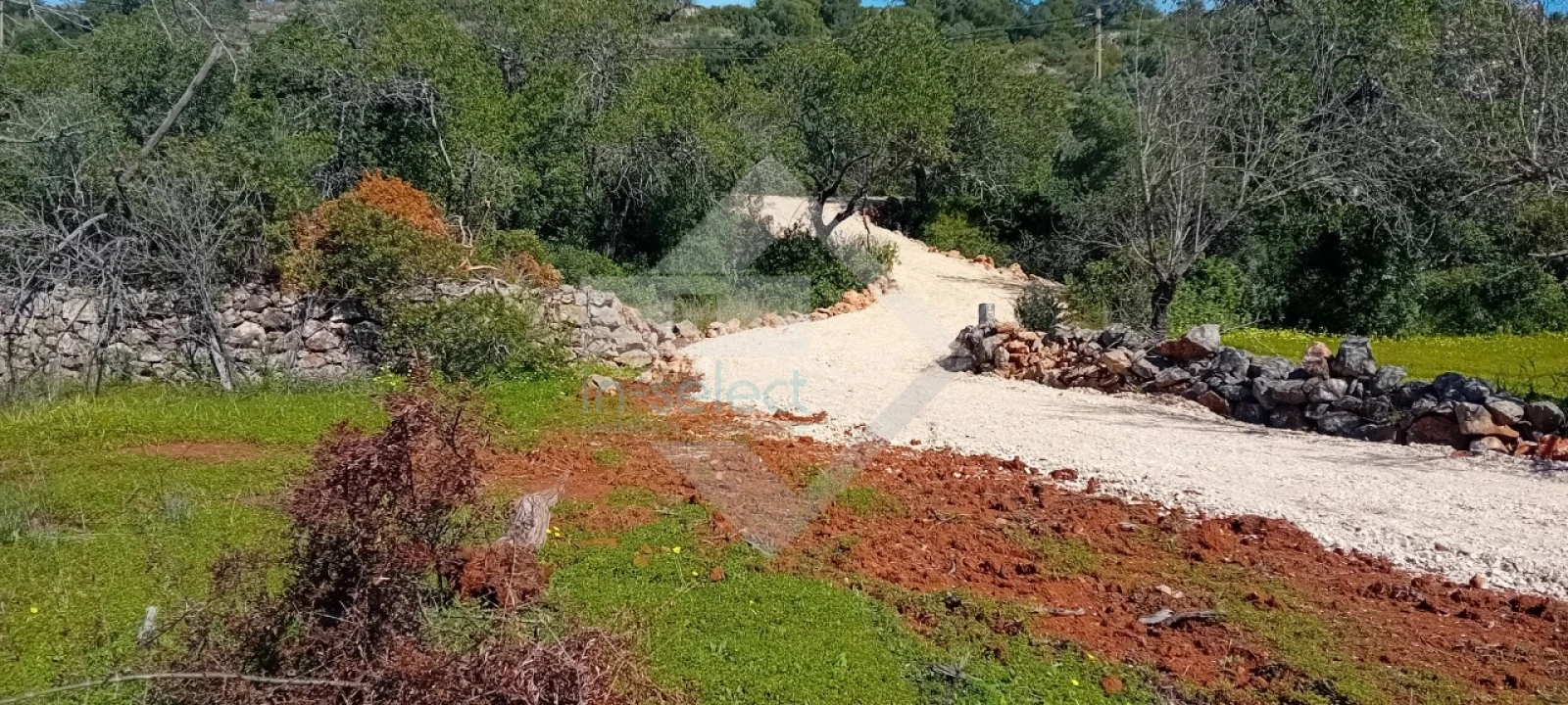 Terreno Agricola ou Rústico para Venda em Loule (São Sebastião) Foto 2
