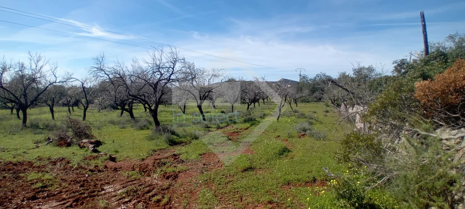 Terreno Agricola ou Rústico para Venda em Loule (São Sebastião) Foto 4
