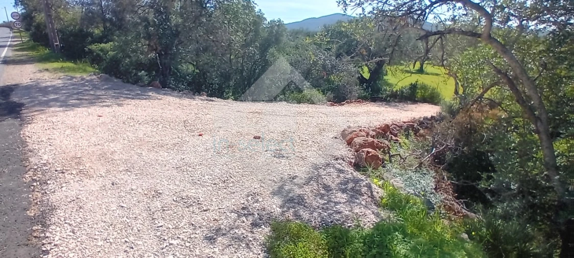 Terreno Agricola ou Rústico para Venda em Loule (São Sebastião) Foto 7