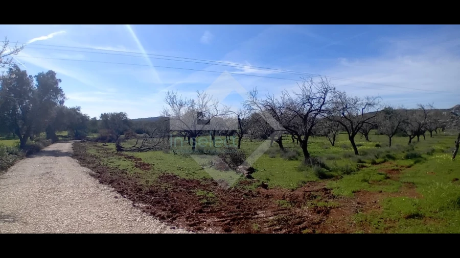 Terreno Agricola ou Rústico para Venda em Loule (São Sebastião)