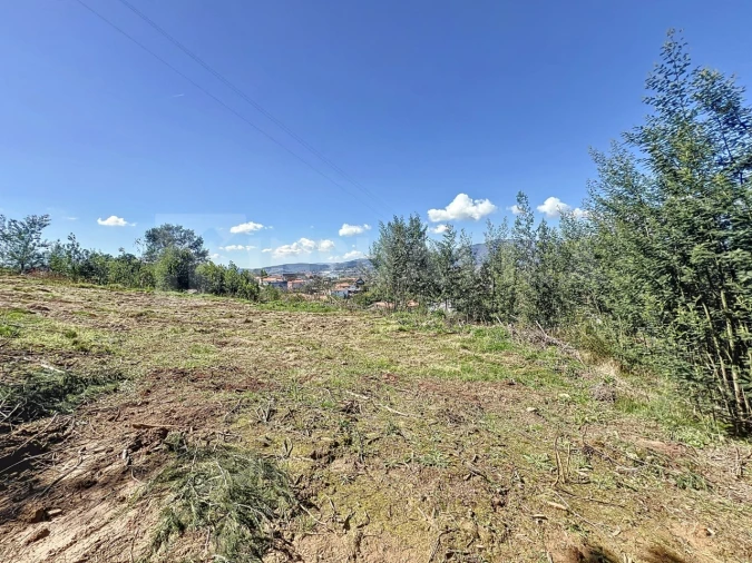 Terreno para Venda em Ganfei Foto 4