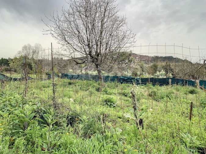 Terreno para Venda em Vilar de Mouros Foto 7